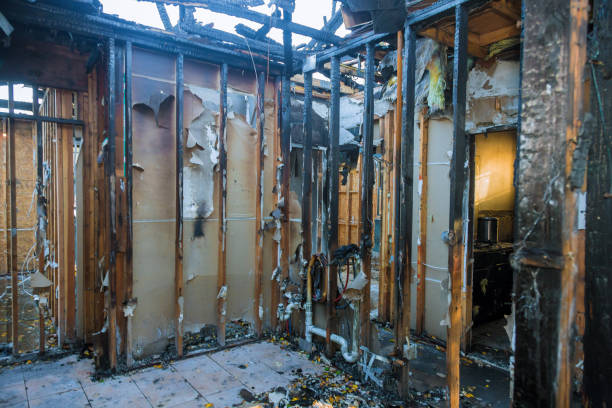 Professional Soot Cleanup technician working in Wildwood Lake, TN